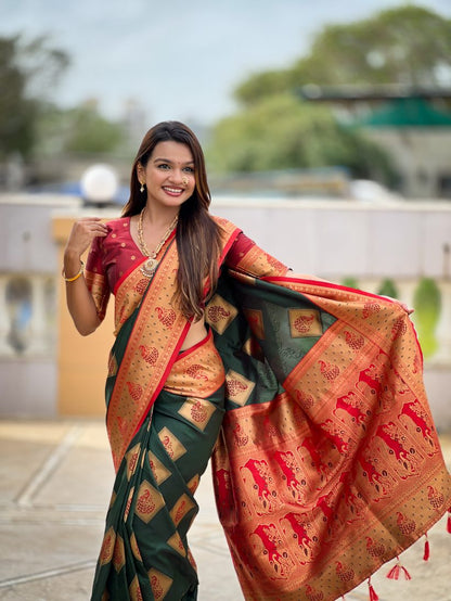 Catalog Designer Saree.