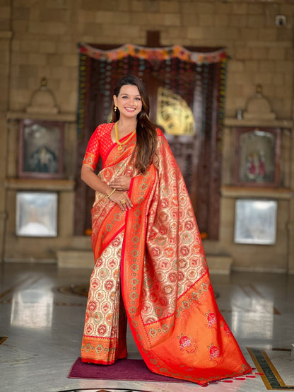 Catalog Designer Saree.