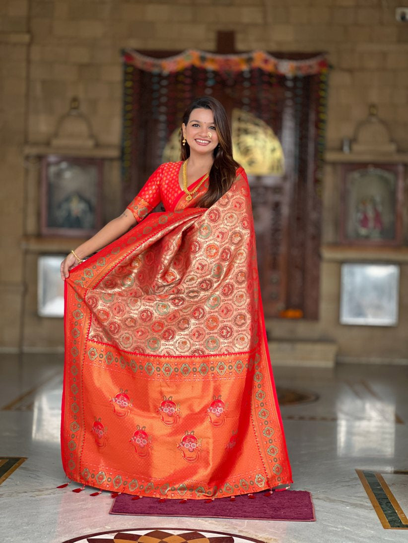 Catalog Designer Saree.