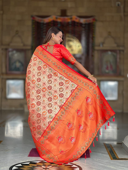Catalog Designer Saree.