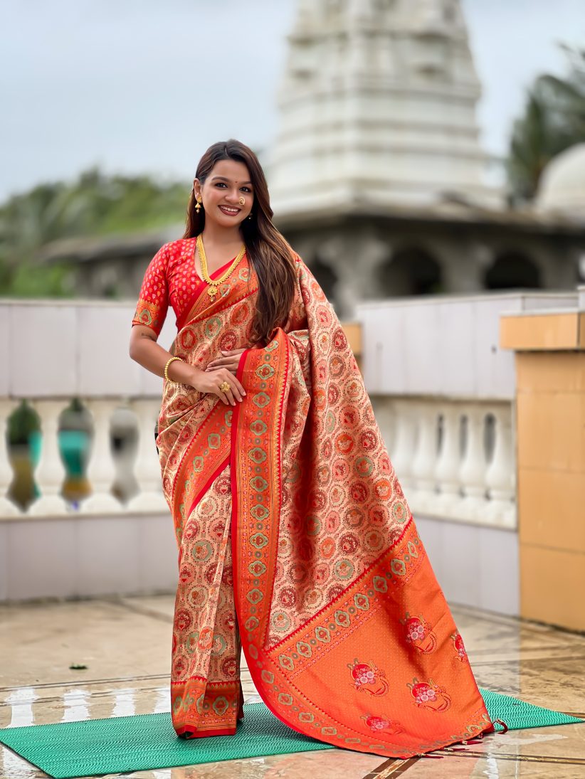 Catalog Designer Saree.