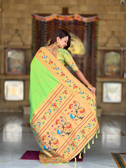 Catalog Designer Saree.