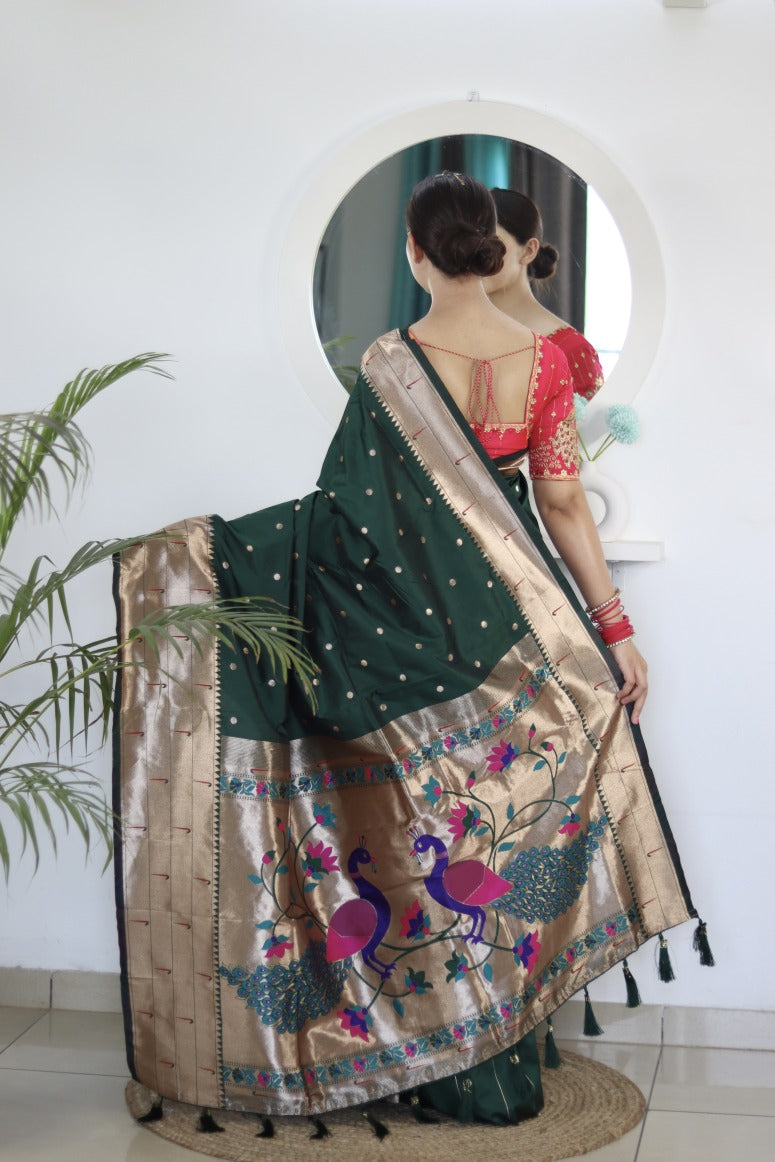 Catalog Designer Saree.