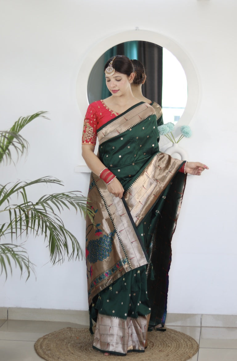 Catalog Designer Saree.