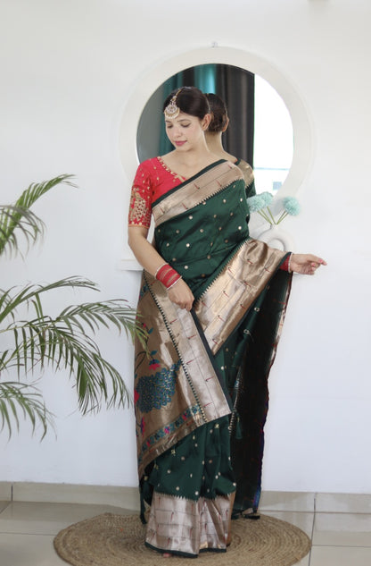 Catalog Designer Saree.