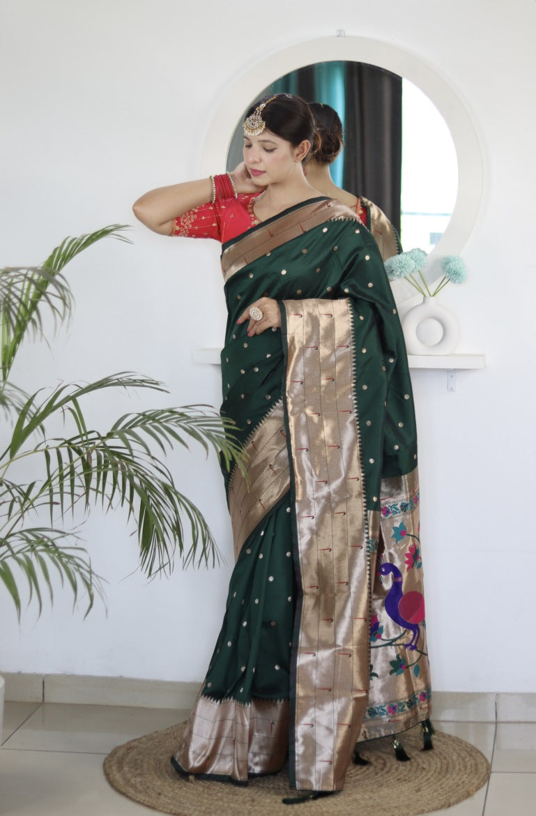Catalog Designer Saree.