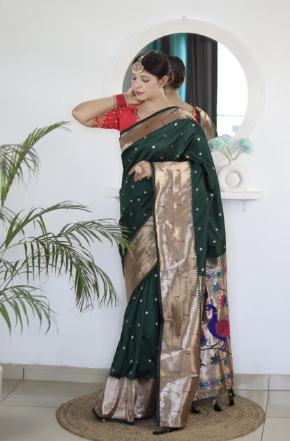 Catalog Designer Saree.