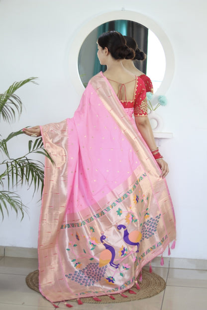 Catalog Designer Saree.