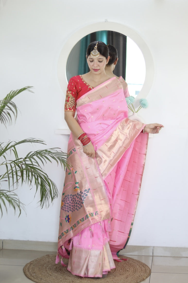 Catalog Designer Saree.