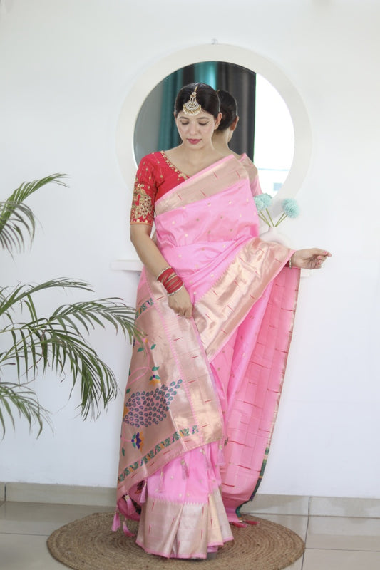 Catalog Designer Saree.