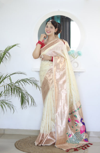Catalog Designer Saree.