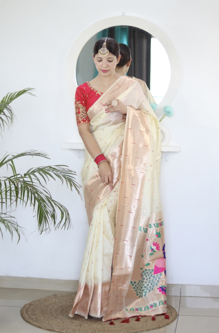 Catalog Designer Saree.