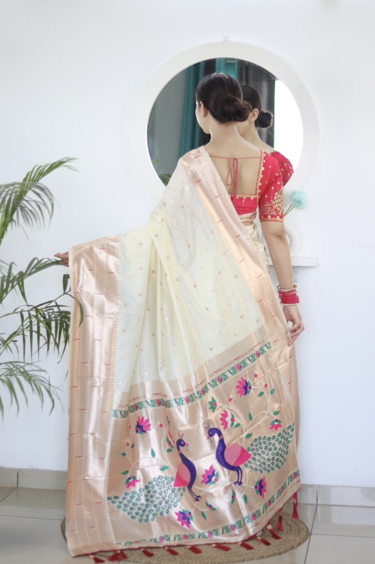 Catalog Designer Saree.