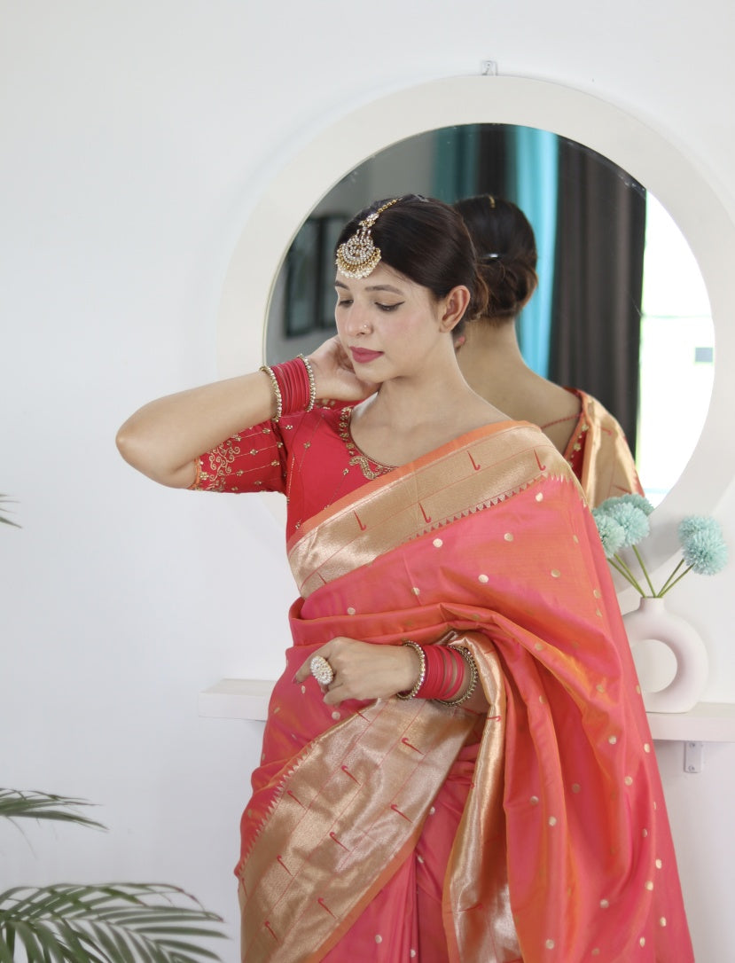 Catalog Designer Saree.