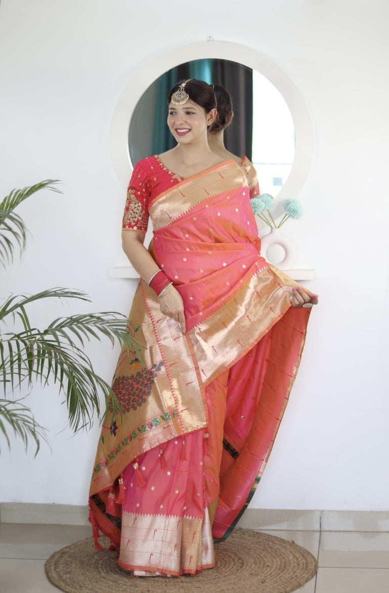 Catalog Designer Saree.