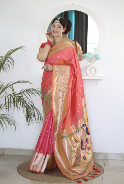 Catalog Designer Saree.