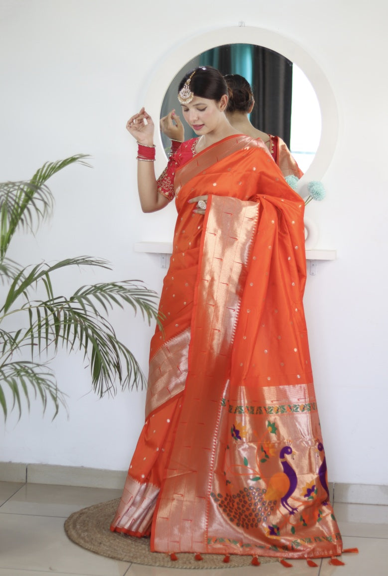 Catalog Designer Saree.