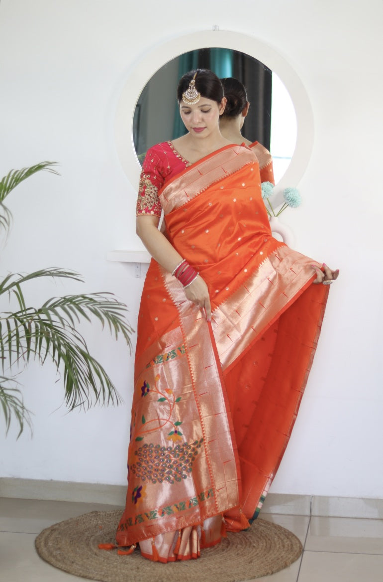 Catalog Designer Saree.
