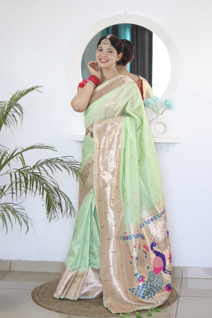 Catalog Designer Saree.