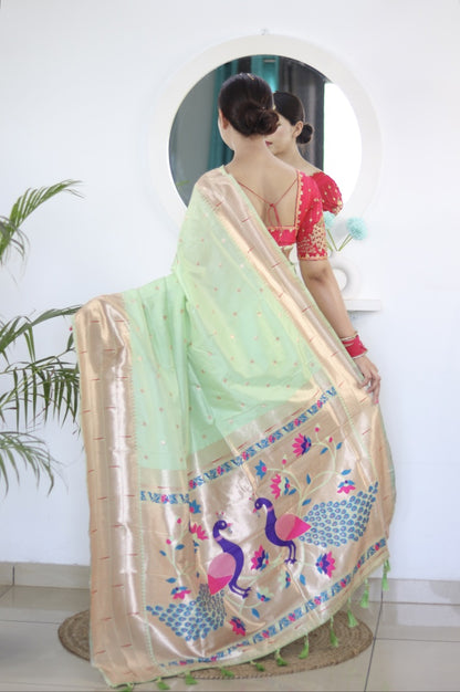 Catalog Designer Saree.