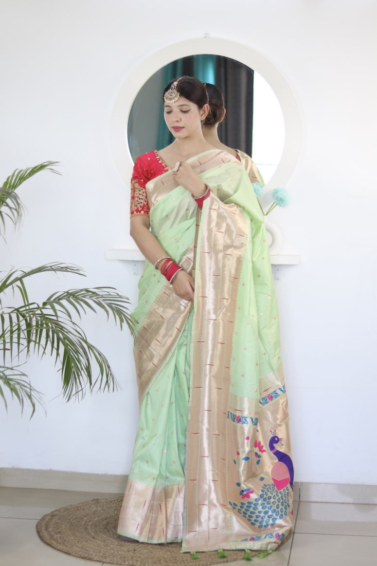 Catalog Designer Saree.