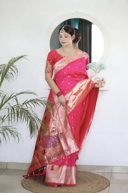 Catalog Designer Saree.
