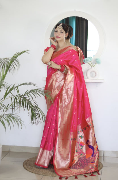 Catalog Designer Saree.