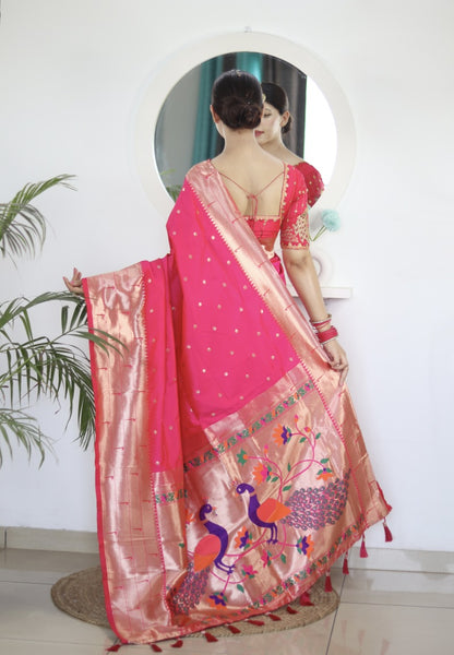 Catalog Designer Saree.