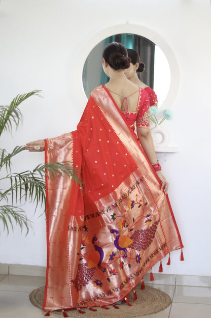 Catalog Designer Saree.