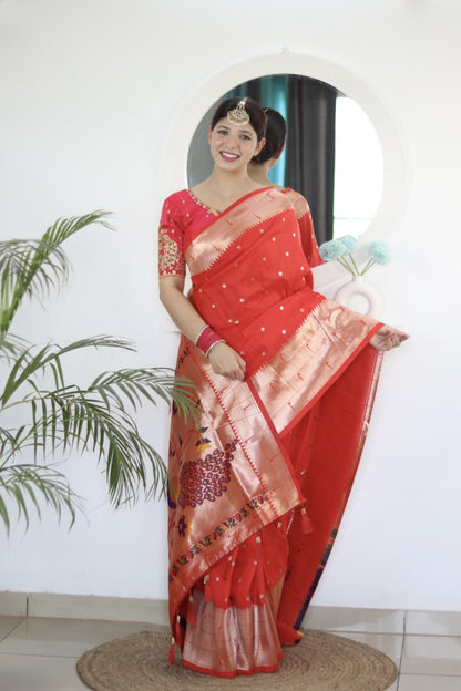 Catalog Designer Saree.