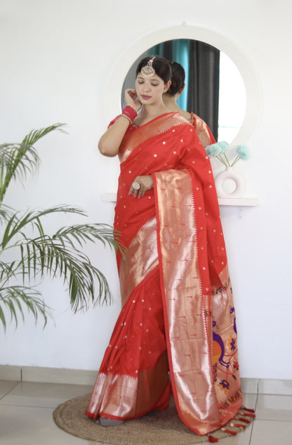 Catalog Designer Saree.