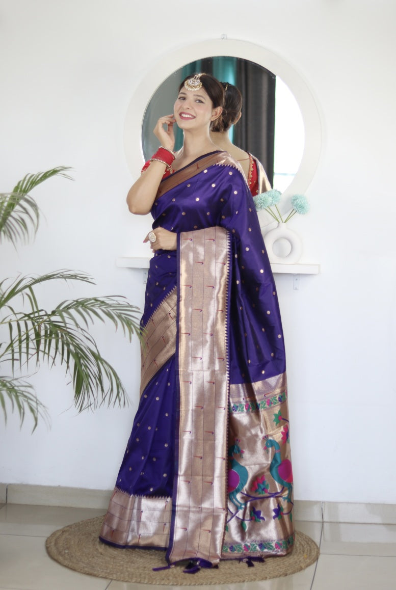 Catalog Designer Saree.