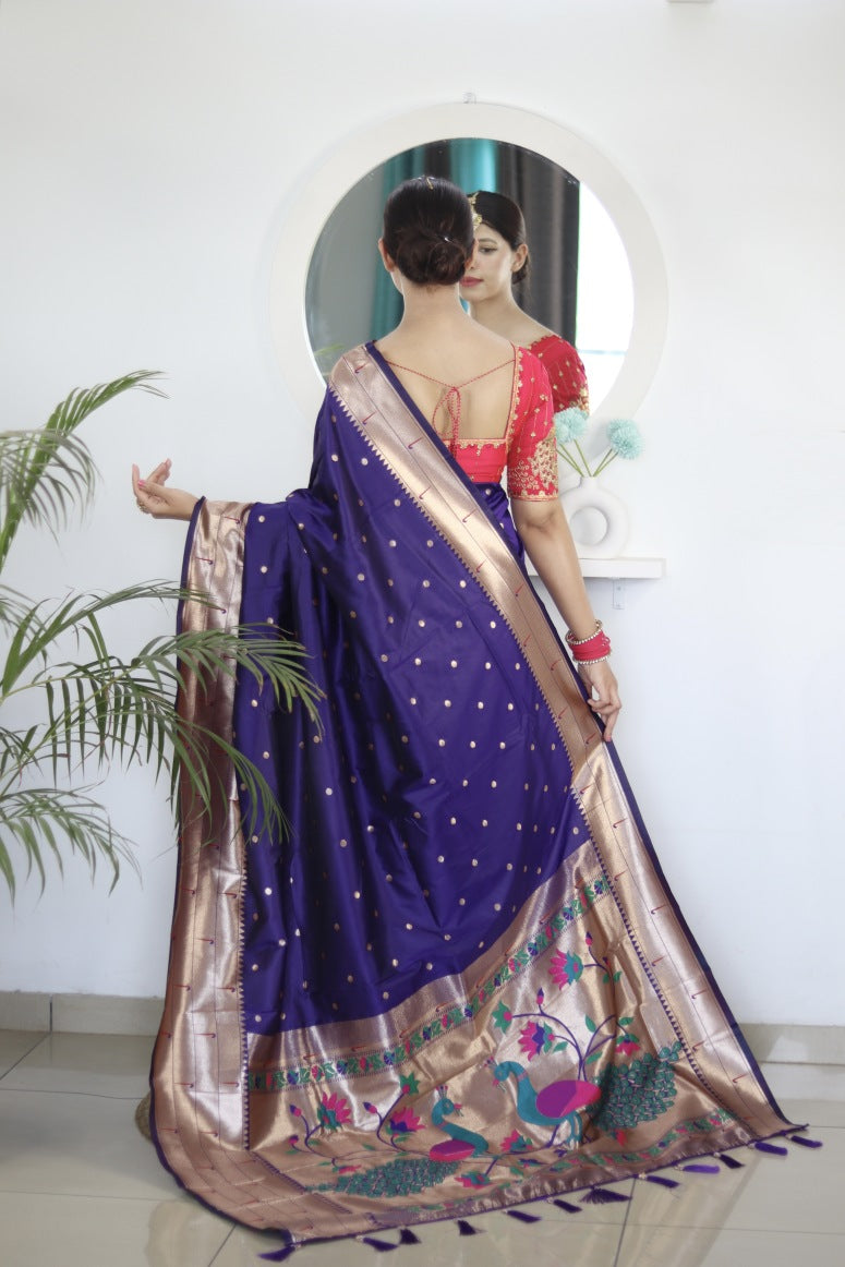 Catalog Designer Saree.