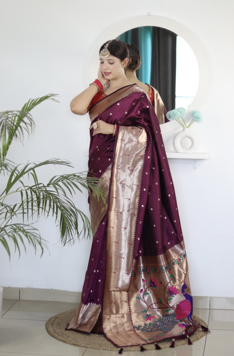 Catalog Designer Saree.