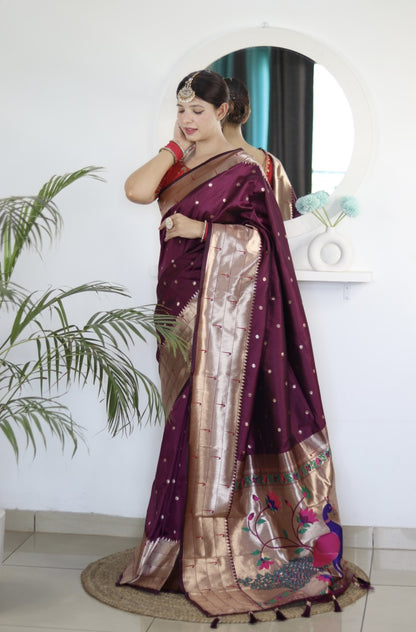 Catalog Designer Saree.