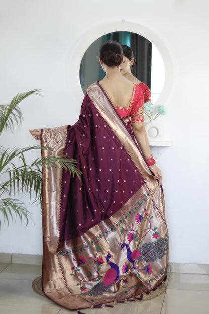 Catalog Designer Saree.