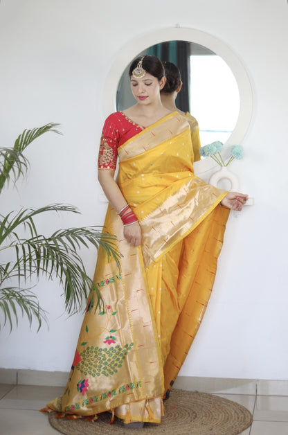 Catalog Designer Saree.