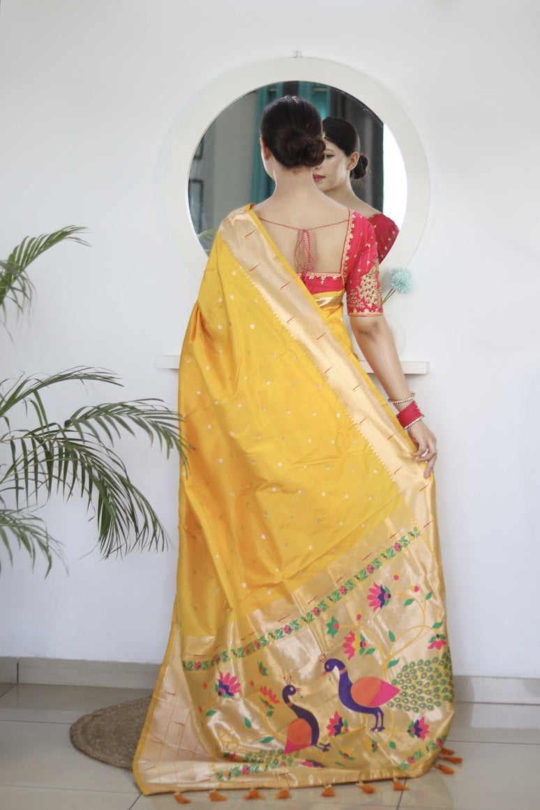 Catalog Designer Saree.