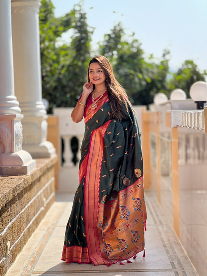 Catalog Designer Saree.