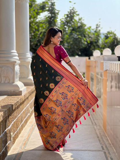 Catalog Designer Saree.