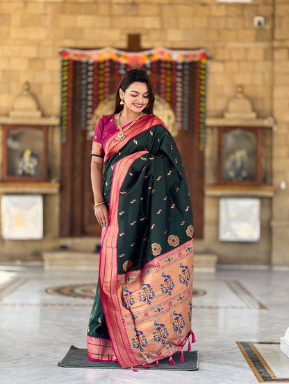 Catalog Designer Saree.