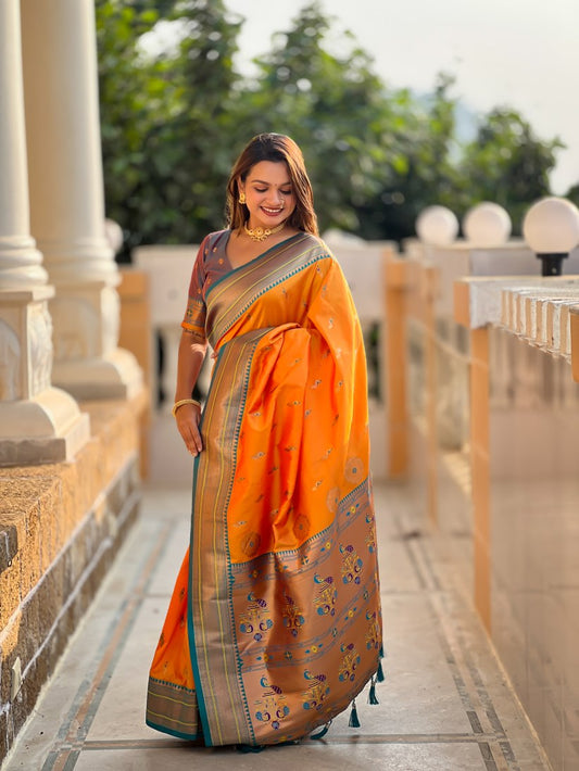 Catalog Designer Saree.
