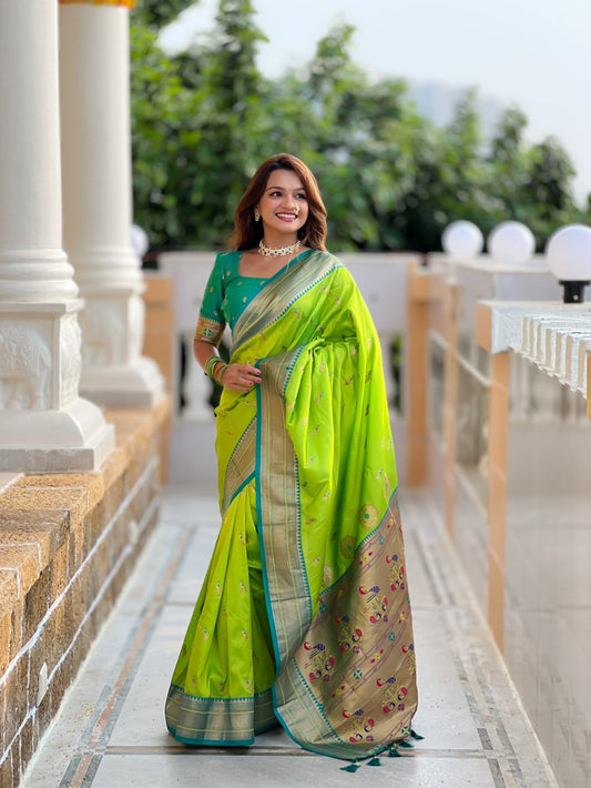 Catalog Designer Saree.