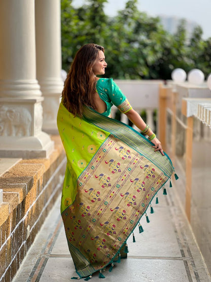 Catalog Designer Saree.