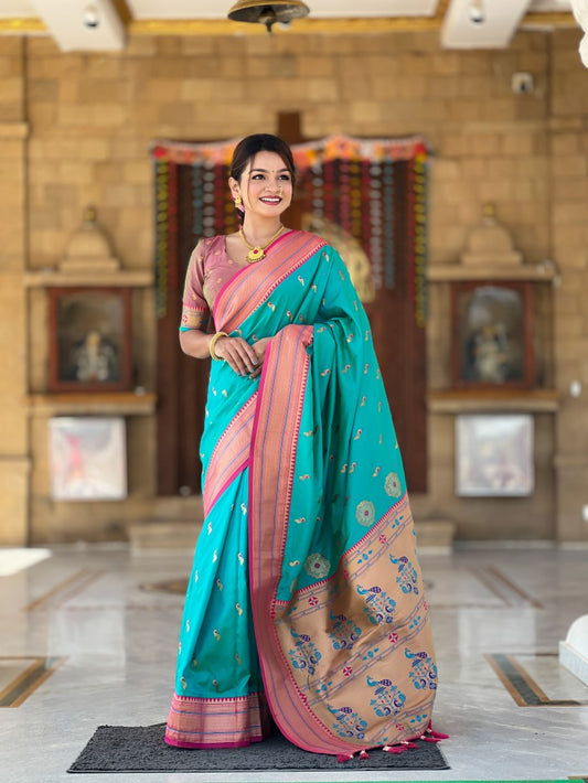 Catalog Designer Saree
