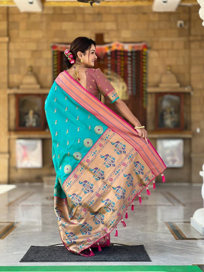 Catalog Designer Saree