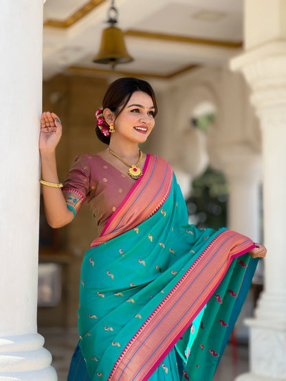 Catalog Designer Saree