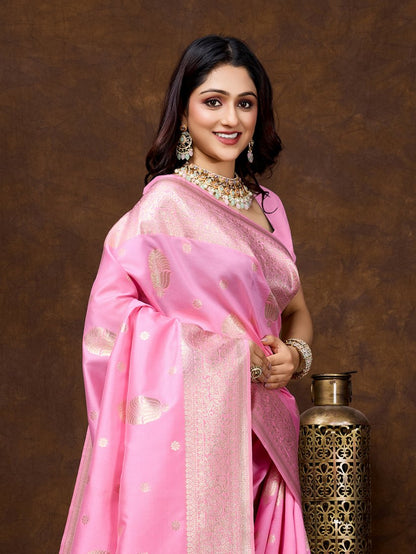 Catalog Designer Saree.