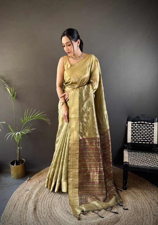 Catalog Designer Saree.