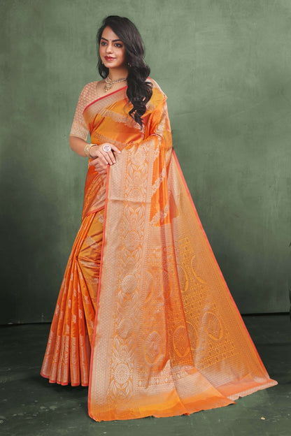 Catalog Designer Saree.